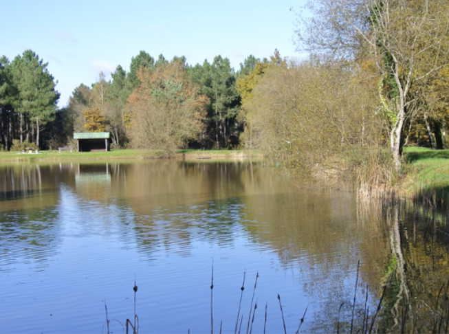 Etang de Saint-Patrice