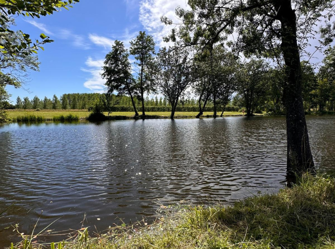 Etang de la Chapelle-sur-Loire