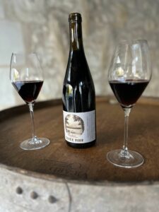 Dégustation de vin de France au cœur du Bourgueillois