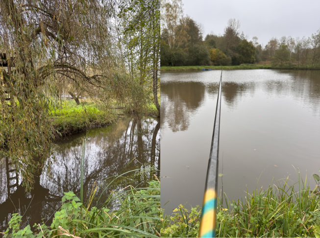 Pêche à la truite au Vivier du moulin à Langeais