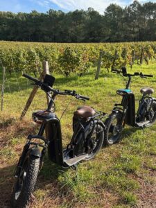 Expérience trottinette tout-terrain dans les vignes au cœur de la vallée de la Loire pour vos teambuilding