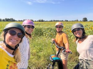 Venez vous mettre au vert avec votre équipe pour un teambuilding ressourçant