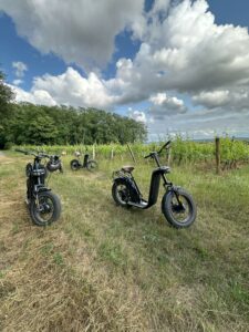 Road trip dans les vignes en trottinette tout-terrain