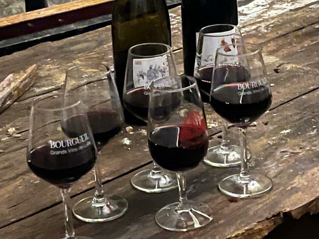 Dégustation de vin de Bourgueil et visite de cave