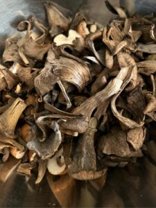 Trompette de la mort cueillis dans les bois