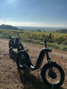 Balade en trottinette tout terrain électrique dans les vignes aux couleurs d'automne