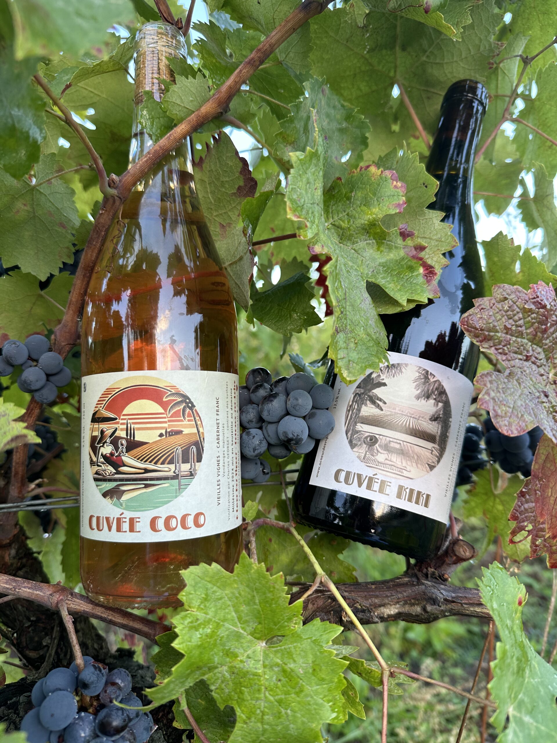 Vin rouge et rosé nature à Bourgueil