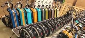 Trottinettes tout-terrain électrique Zosh