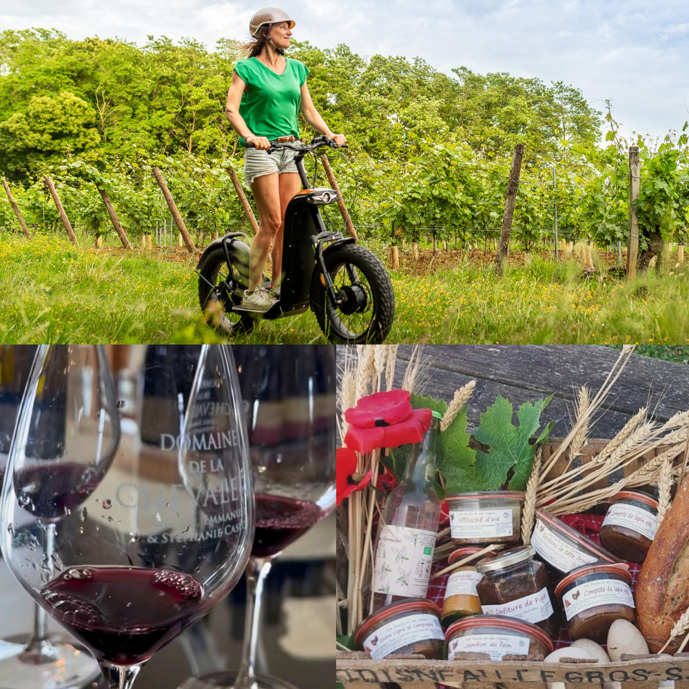 Escapade gourmande entre vignes et terroir en trottinette tout-terrain électrique