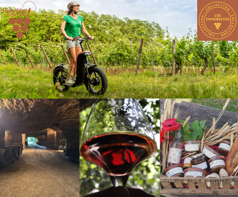 Vignobles en scène 2026 collection immersives : balade en trottinette, visite de cave, dégustation accords vins de Bourgueil et terrines