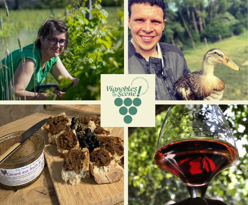Dégustation de vin de Bourgueuil en accord avec des terrines artisanales - rencontres avec les producteurs locaux passionnés