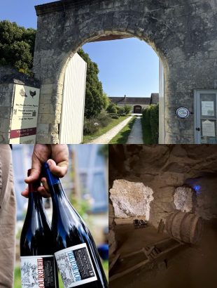 Balade oenotouristique en trottinette tout-terrain, halte dégustation vin A.O.C Bourgueil avec le domaine de la jacquelinière dans les caves de Vincent cuisinier de campagne